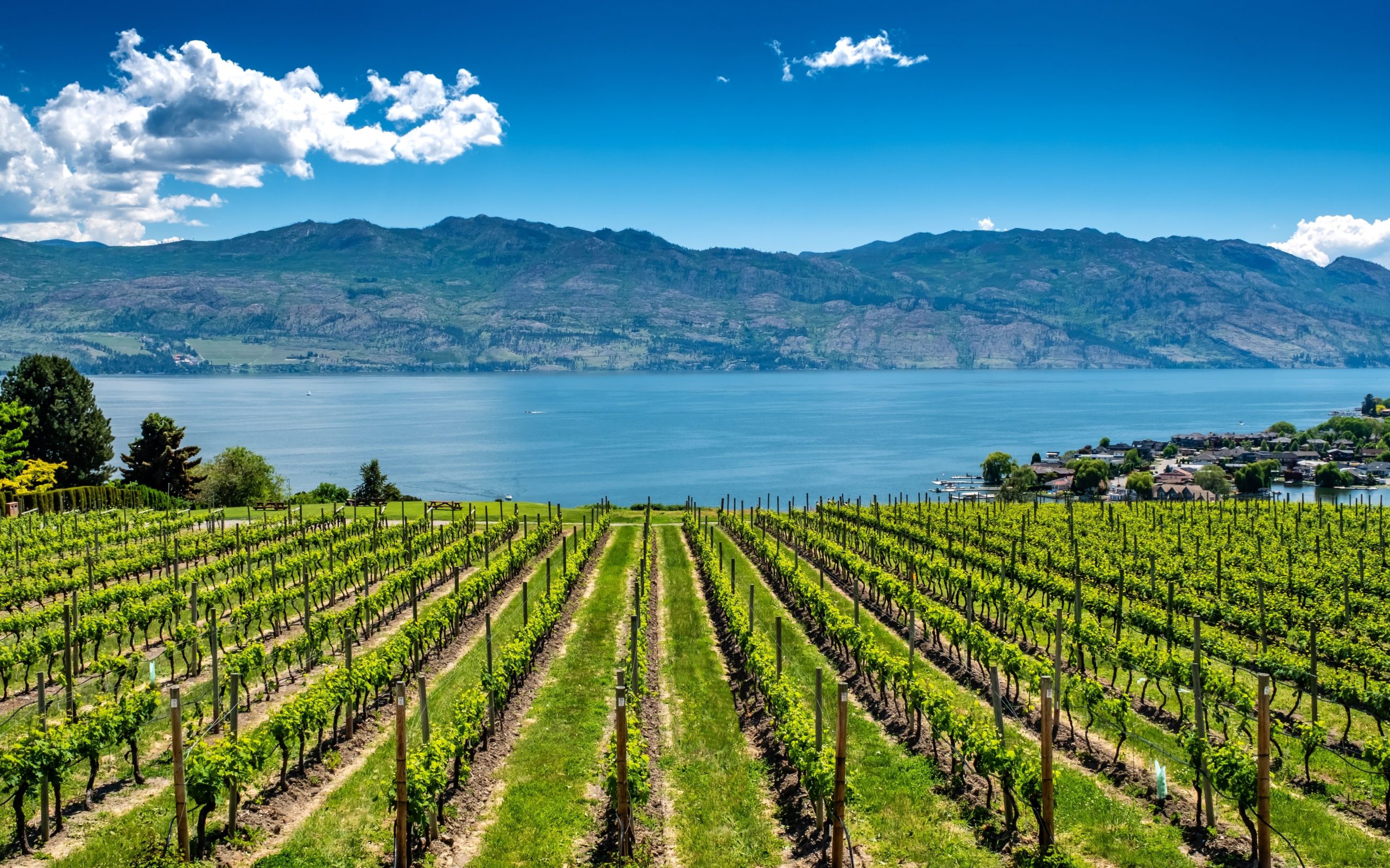 Things To Do In The Okanagan Valley This Summer | Rampone-Marsh